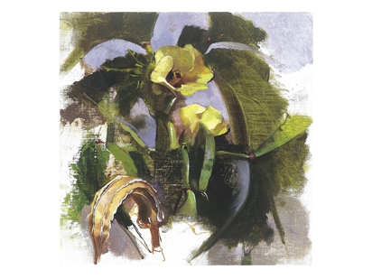 Facing the Real-Okra III