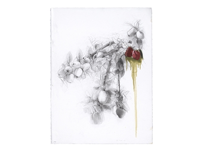 Hymn of the weeds-encounter with the artist and the curator