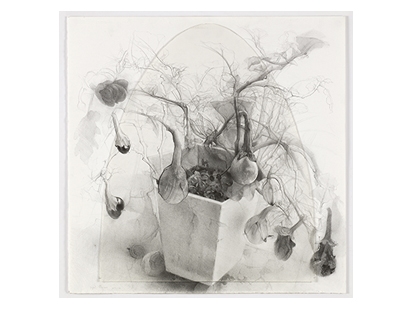 interview with Debby Luzia