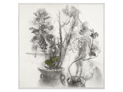 Suggested Donation Podcast